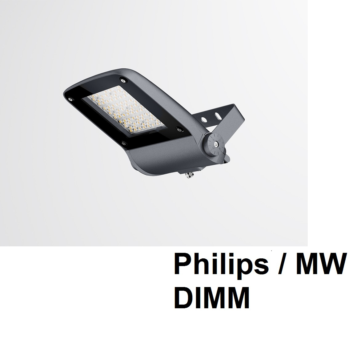 Прожектор влагозащищенный IP67 с диммируемым источником тока Philips / MW DIMM светодиодный накладной FALDI VIKING-S55P